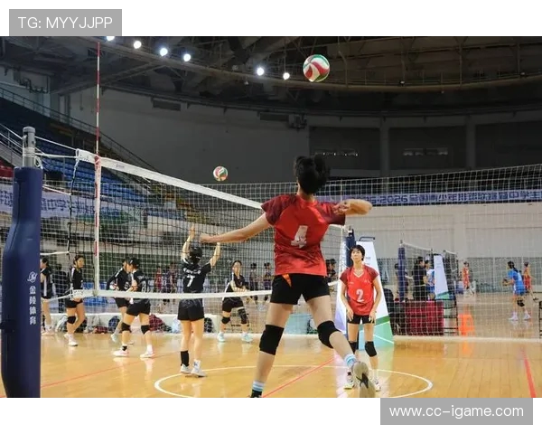 杭州排球队最新排球配合TOP10揭晓引领潮流助力竞技水平提升